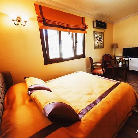 招待所 Room In Guest Room - Sofia Boutique Hotel 8 凯里尼亚