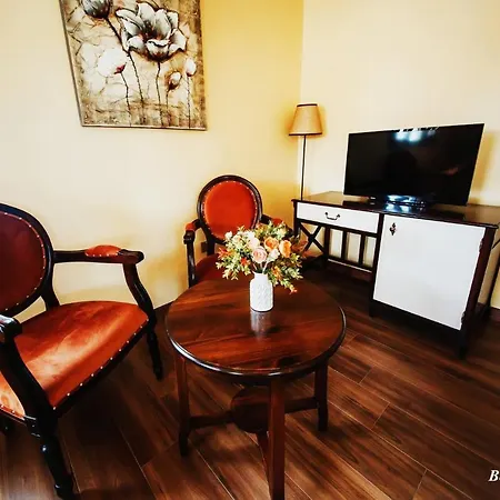 Room In Guest Room - Sofia Boutique Hotel 8 招待所 *